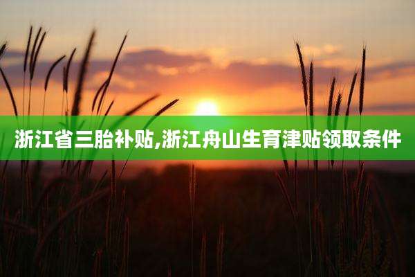 浙江省三胎补贴,浙江舟山生育津贴领取条件