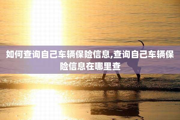 如何查询自己车辆保险信息,查询自己车辆保险信息在哪里查