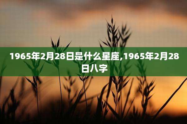 1965年2月28日是什么星座,1965年2月28日八字