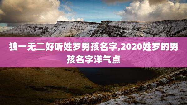 独一无二好听姓罗男孩名字,2020姓罗的男孩名字洋气点