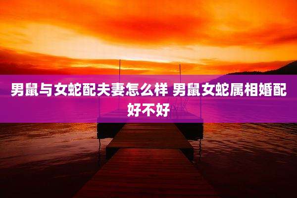 男鼠与女蛇配夫妻怎么样 男鼠女蛇属相婚配好不好