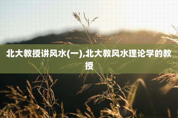 北大教授讲风水(一),北大教风水理论学的教授