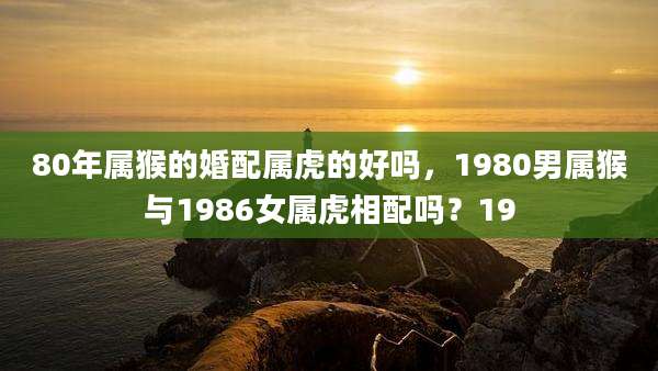 80年属猴的婚配属虎的好吗,1980男属猴与1986女属虎相配吗?19