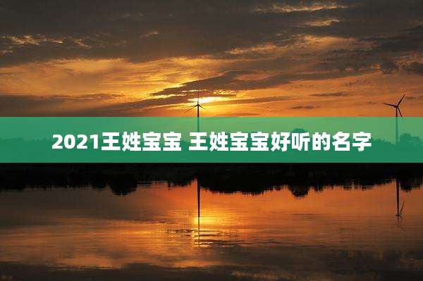 2021王姓宝宝 王姓宝宝好听的名字