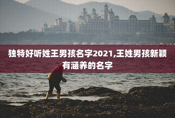 独特好听姓王男孩名字2021,王姓男孩新颖有涵养的名字