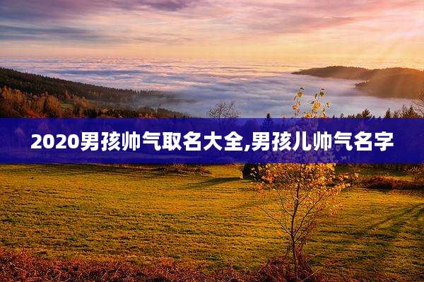 2020男孩帅气取名大全,男孩儿帅气名字