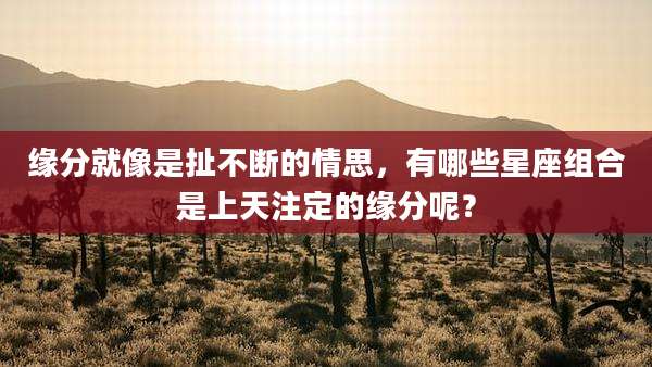 缘分就像是扯不断的情思，有哪些星座组合是上天注定的缘分呢？