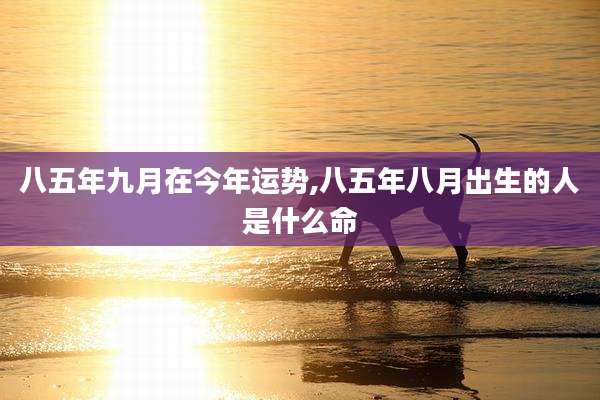 八五年九月在今年运势,八五年八月出生的人是什么命