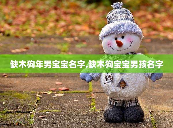 缺木狗年男宝宝名字,缺木狗宝宝男孩名字
