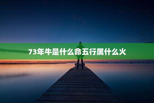 73年牛是什么命五行属什么火