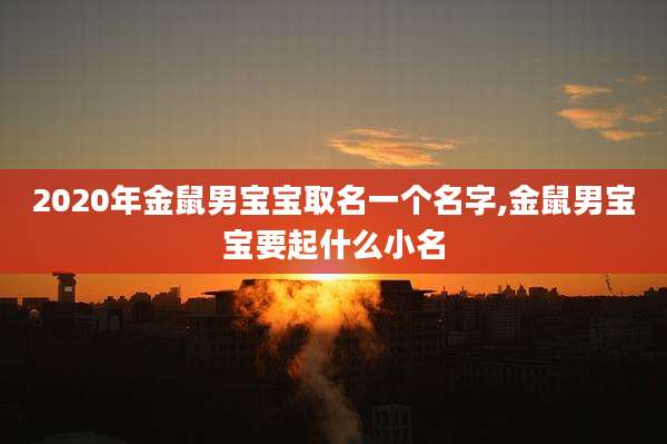 2020年金鼠男宝宝取名一个名字,金鼠男宝宝要起什么小名