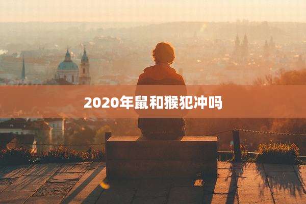 2020年鼠和猴犯冲吗