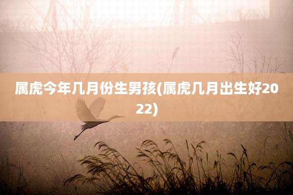 属虎今年几月份生男孩(属虎几月出生好2022)