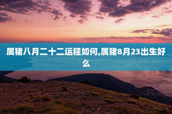 属猪八月二十二运程如何,属猪8月23出生好么