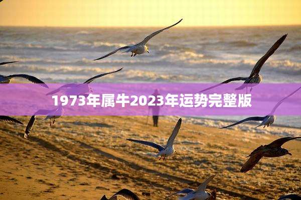 1973年属牛2023年运势完整版