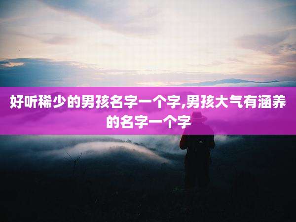 好听稀少的男孩名字一个字,男孩大气有涵养的名字一个字