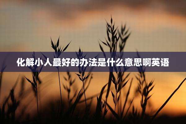 化解小人最好的办法是什么意思啊英语
