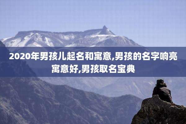 2020年男孩儿起名和寓意,男孩的名字响亮寓意好,男孩取名宝典