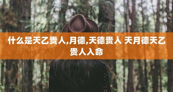 什么是天乙贵人,月德,天德贵人 天月德天乙贵人入命