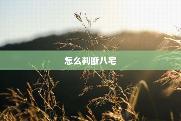 怎么判断八宅