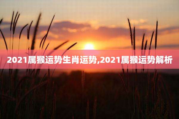 2021属猴运势生肖运势,2021属猴运势解析