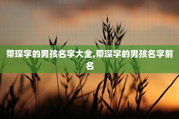 带琛字的男孩名字大全,带琛字的男孩名字前名