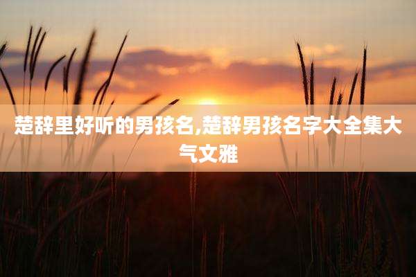 楚辞里好听的男孩名,楚辞男孩名字大全集大气文雅