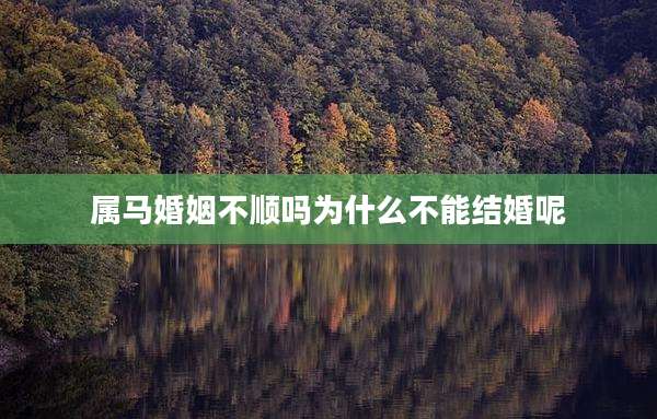 属马婚姻不顺吗为什么不能结婚呢