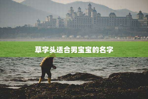 草字头适合男宝宝的名字