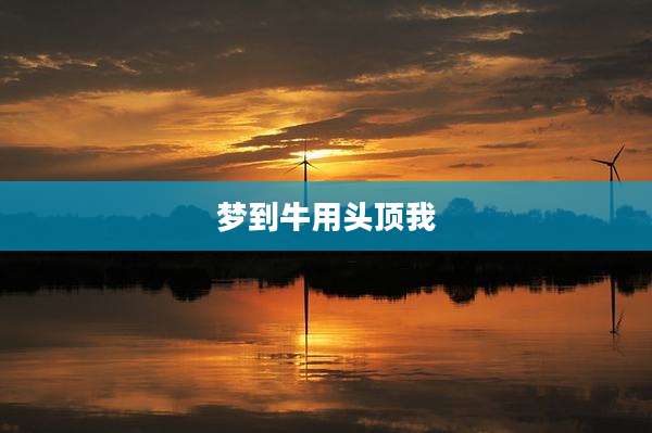梦到牛用头顶我