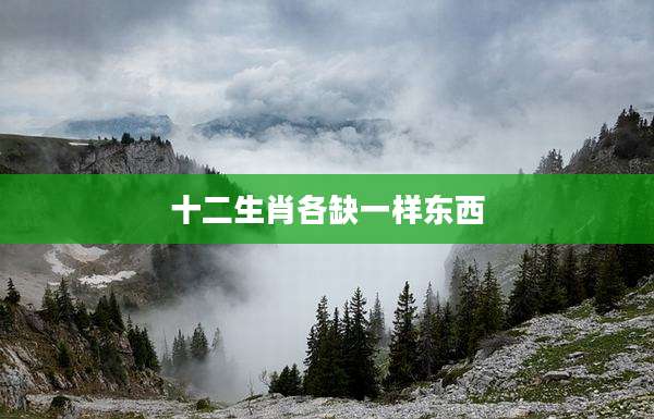 十二生肖各缺一样东西