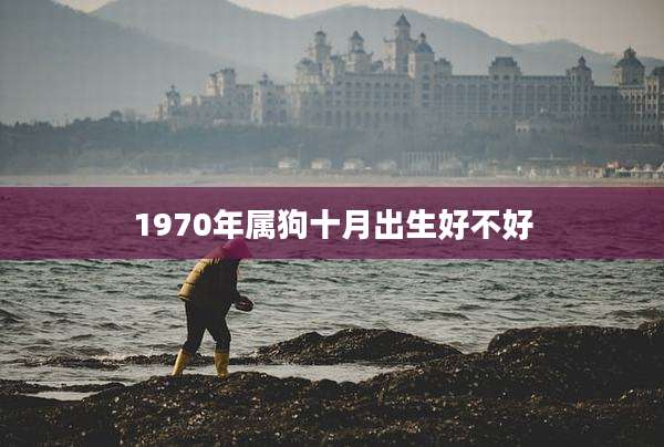 1970年属狗十月出生好不好