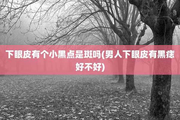 下眼皮有个小黑点是斑吗(男人下眼皮有黑痣好不好)