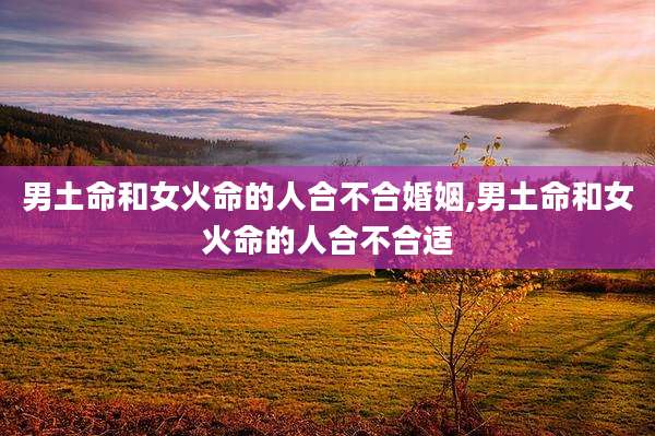男土命和女火命的人合不合婚姻,男土命和女火命的人合不合适