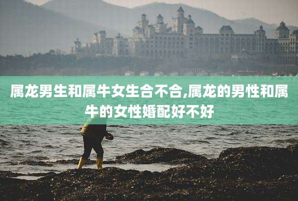 属龙男生和属牛女生合不合,属龙的男性和属牛的女性婚配好不好