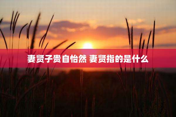 妻贤子贵自怡然 妻贤指的是什么