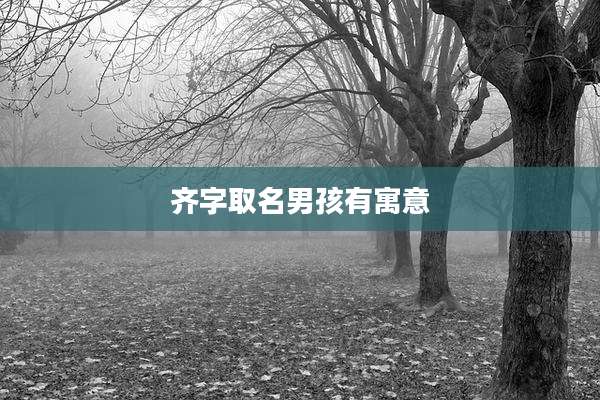 齐字取名男孩有寓意
