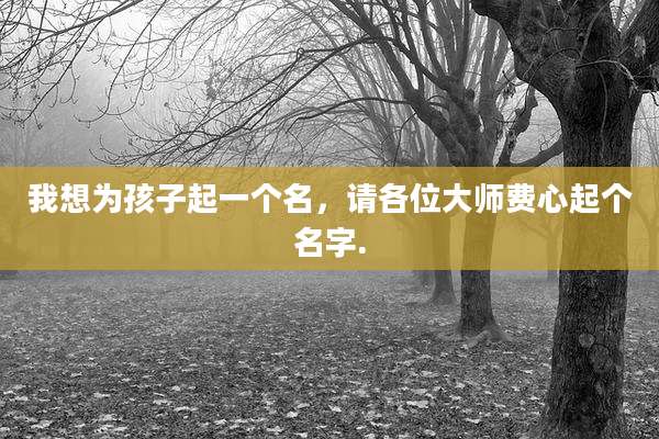 我想为孩子起一个名,请各位大师费心起个名字.