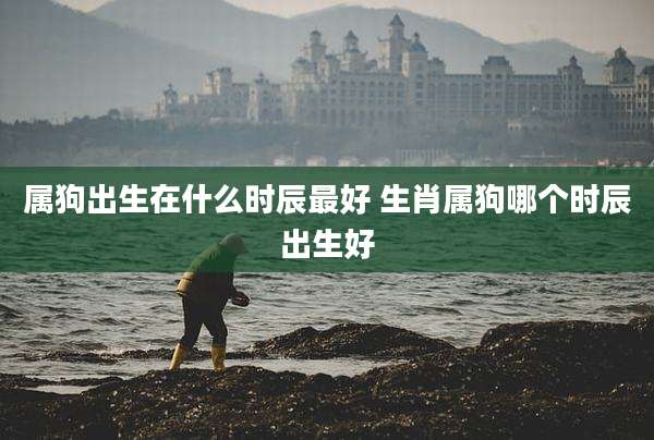 属狗出生在什么时辰最好 生肖属狗哪个时辰出生好