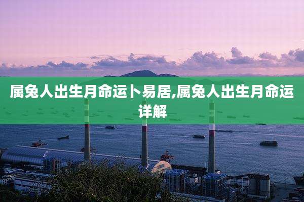 属兔人出生月命运卜易居,属兔人出生月命运详解