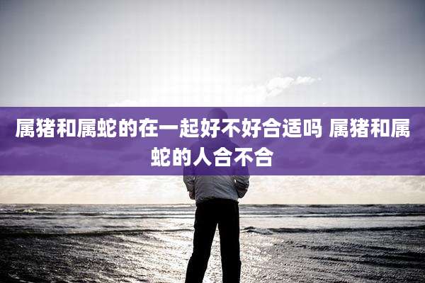 属猪和属蛇的在一起好不好合适吗 属猪和属蛇的人合不合