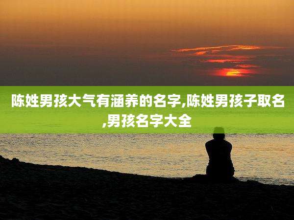 陈姓男孩大气有涵养的名字,陈姓男孩子取名,男孩名字大全