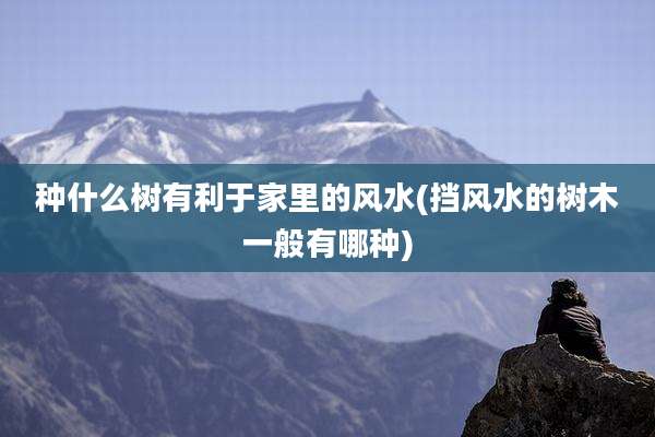 种什么树有利于家里的风水(挡风水的树木一般有哪种)