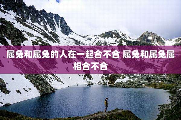 属兔和属兔的人在一起合不合 属兔和属兔属相合不合