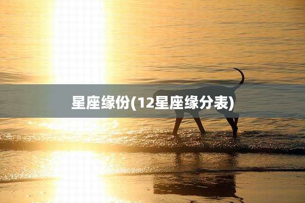 星座缘份(12星座缘分表)