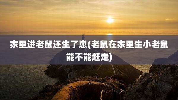 家里进老鼠还生了崽(老鼠在家里生小老鼠能不能赶走)