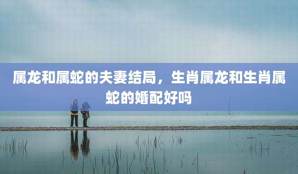 属龙和属蛇的夫妻结局,生肖属龙和生肖属蛇的婚配好吗