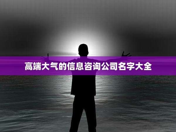 高端大气的信息咨询公司名字大全
