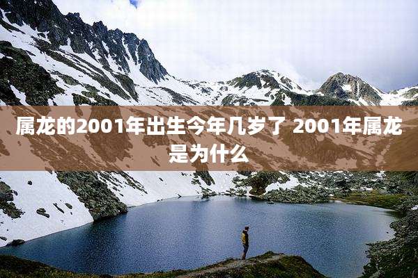 属龙的2001年出生今年几岁了 2001年属龙是为什么