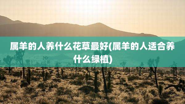 属羊的人养什么花草最好(属羊的人适合养什么绿植)